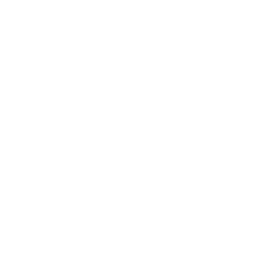 TOPDANDY